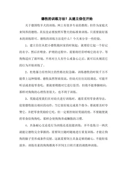 德牧的训练方法？从建立信任开始