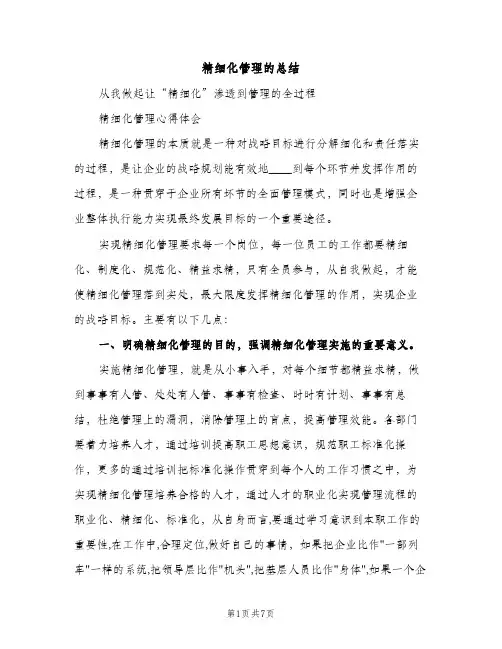 精细化管理的总结（2篇）