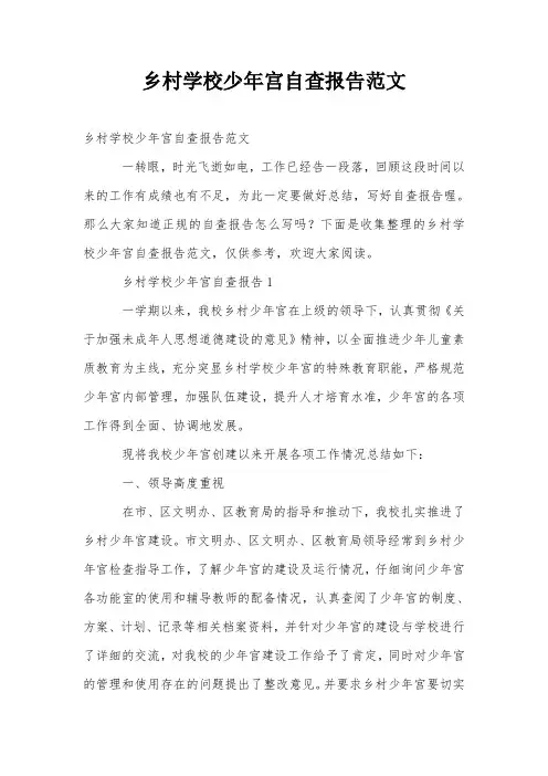乡村学校少年宫自查报告范文