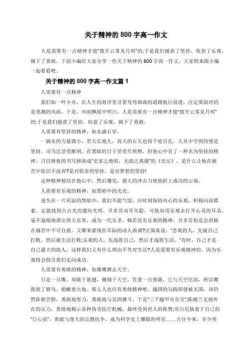 关于精神的800字高一作文