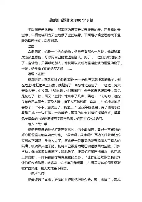 温暖的话题作文800字5篇