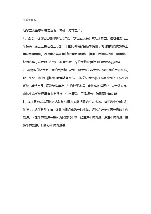 湿地指什么