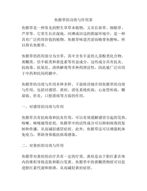 鱼腥草的功效与作用茶