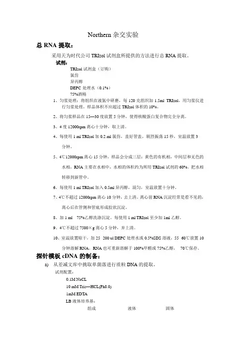 Northern杂交实验