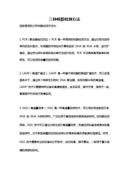 三种核酸检测方法