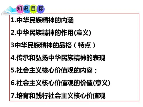 人教版道德与法治九年级上册第五课第二框凝聚价值追求