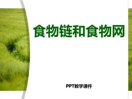 食物链和食物网PPT课件