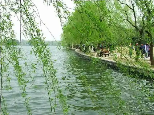 八年级物理第十章第一节浮力课件(1)