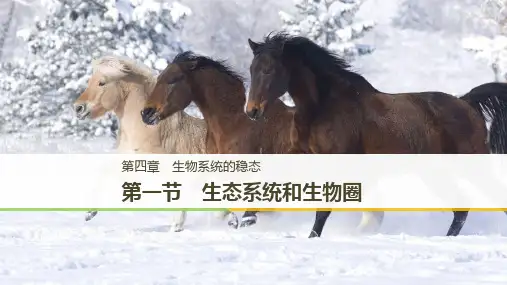 版生物学案同步必修三苏教版课件：第四章 生态系统的稳态 第一节
