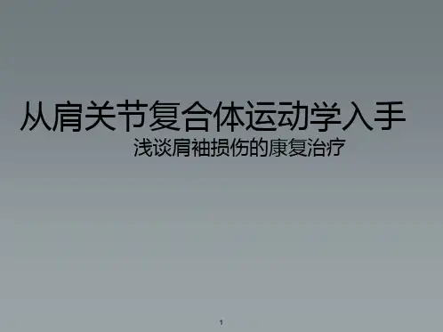 从肩关节复合体运动学入手浅谈肩袖损伤的康复治疗PPT课件
