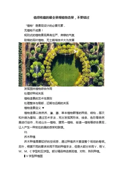 值得收藏的最全景观植物造景，不要错过