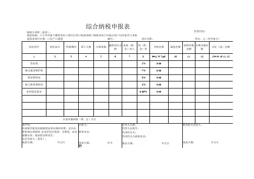 综合纳税申报表模板