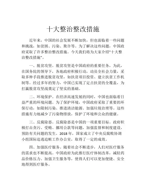十大整治整改措施