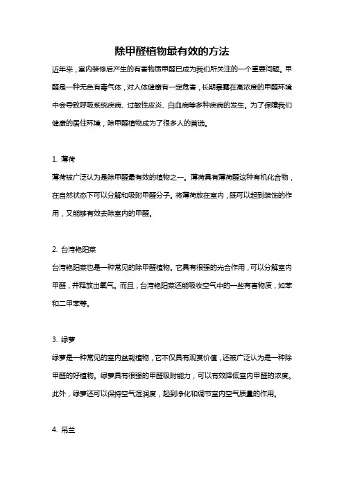 除甲醛植物最有效的方法