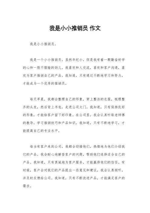 我是小小推销员 作文