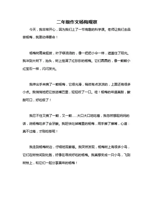 二年级作文杨梅观察