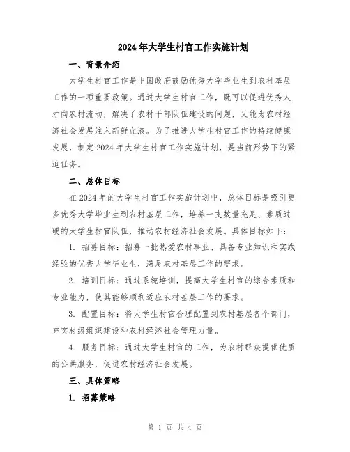 2024年大学生村官工作实施计划
