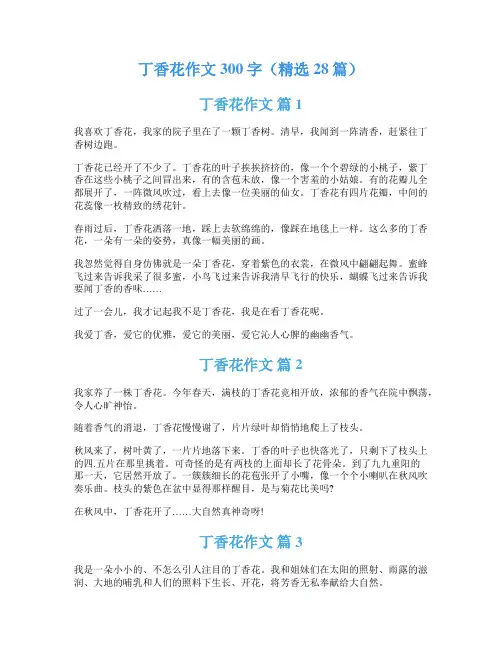 丁香花作文300字(精选28篇)
