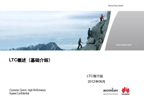 LTC概述(基础介绍)  ppt课件
