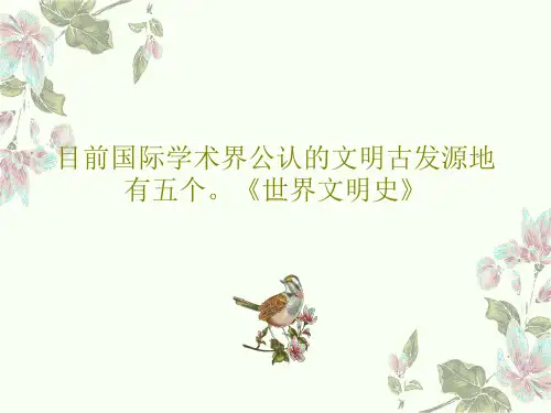 目前国际学术界公认的文明古发源地有五个。《世界文明史》共19页