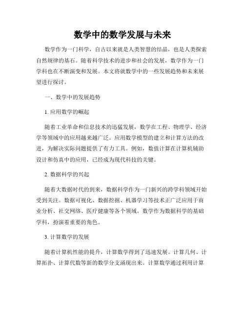 数学中的数学发展与未来
