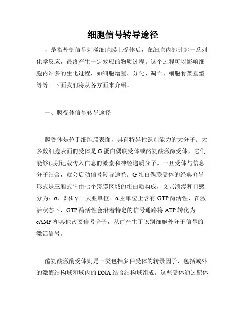 细胞信号转导途径