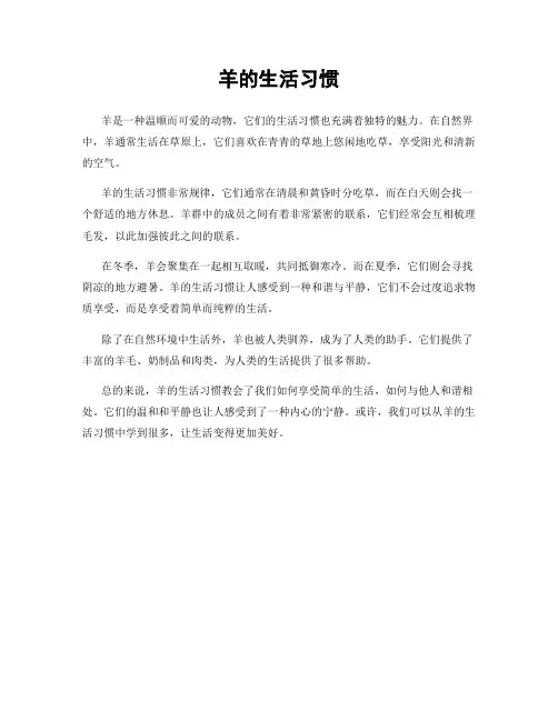 羊的生活习惯