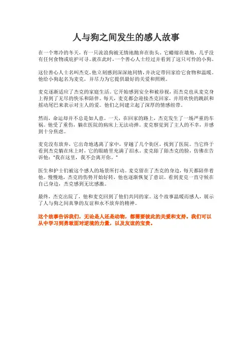 人与狗之间发生的感人故事