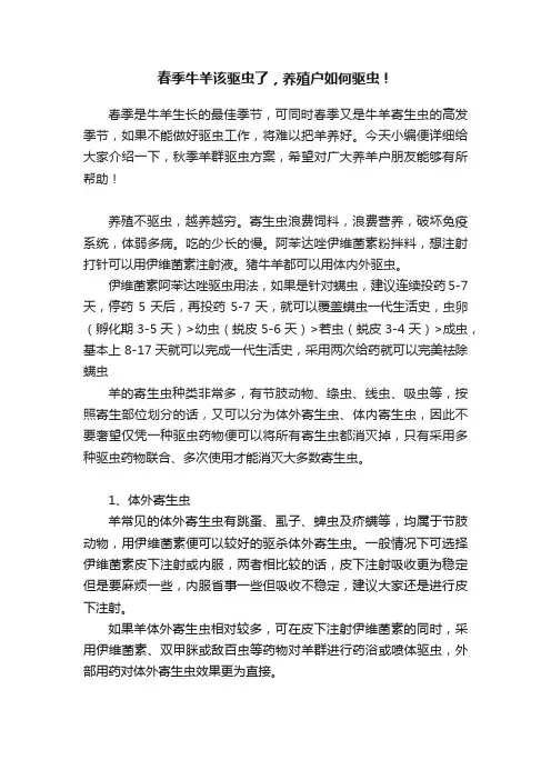 春季牛羊该驱虫了，养殖户如何驱虫！