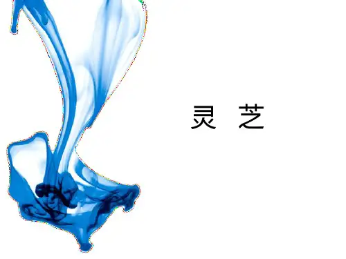 灵芝