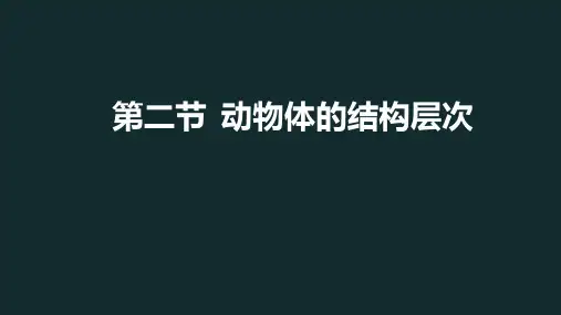 动物体的结构层次ppt课件