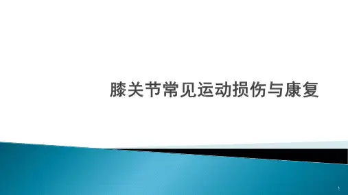 膝关节损伤与治疗PPT课件