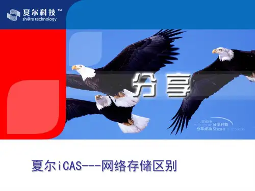 SAN NAS CAS 区别
