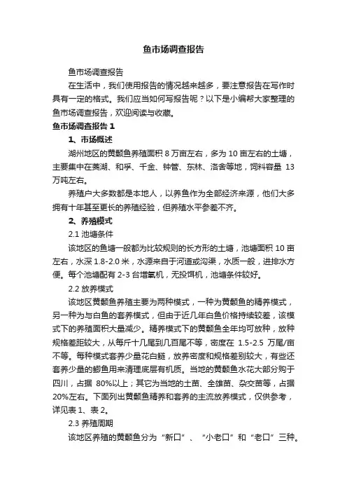 鱼市场调查报告