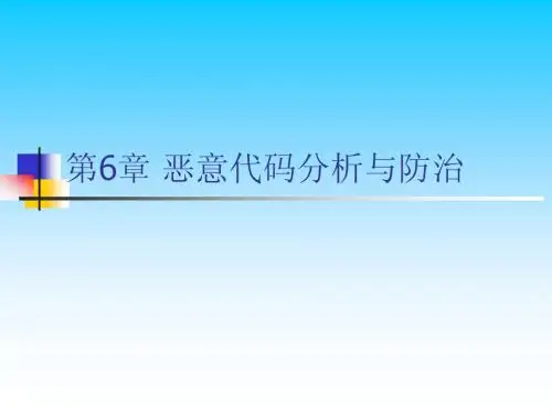 恶意代码分析与防治09-6