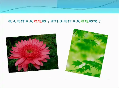 人教版4.5光的色散ppt课件