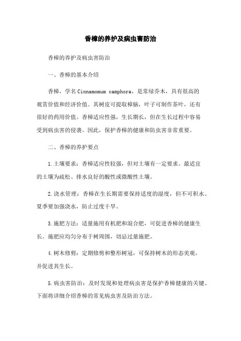 香樟的养护及病虫害防治