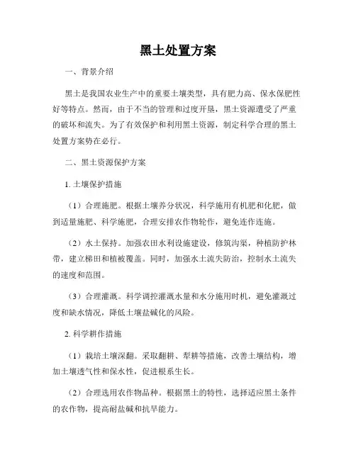 黑土处置方案