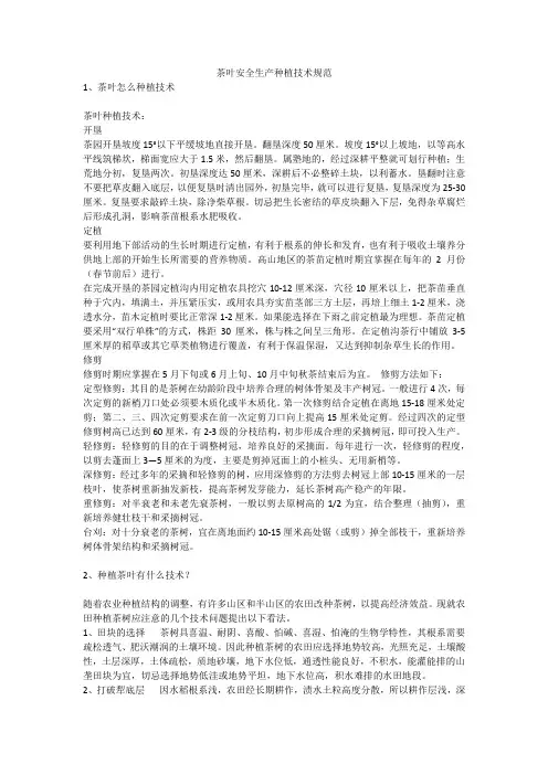 茶叶安全生产种植技术规范安全生产