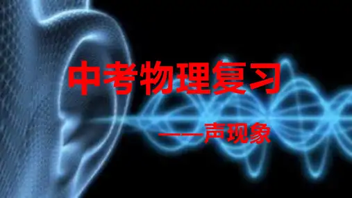 中考物理复习   声现象