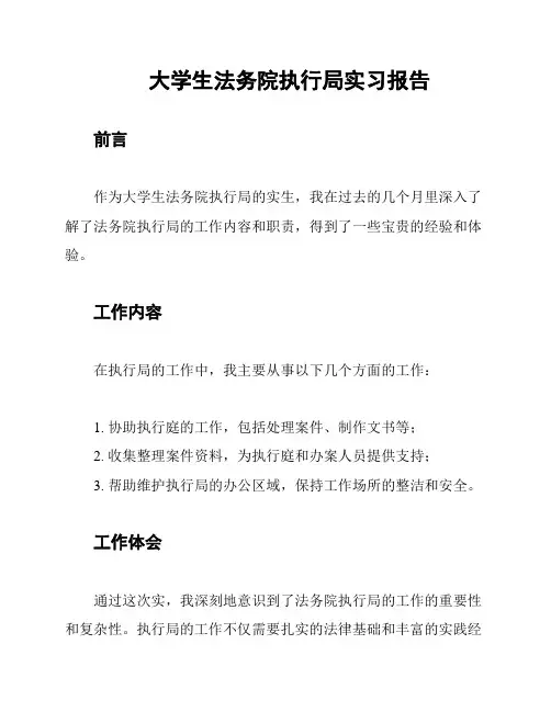 大学生法务院执行局实习报告