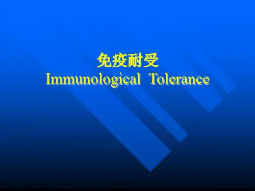 免疫耐受 PPT课件