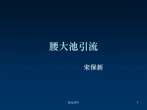 腰大池引流ppt课件