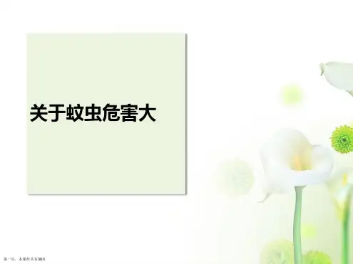 蚊虫危害大课件