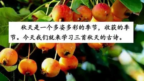 三年级上册语文课件-4 古诗三首人教(部编版) (共59张PPT)