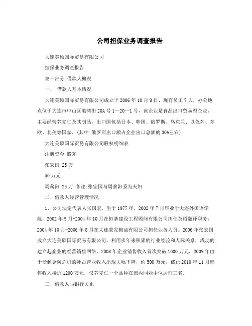 公司担保业务调查报告