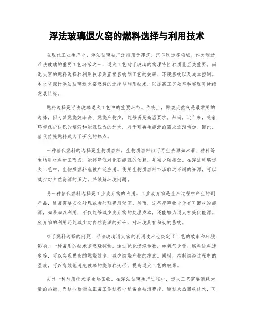 浮法玻璃退火窑的燃料选择与利用技术