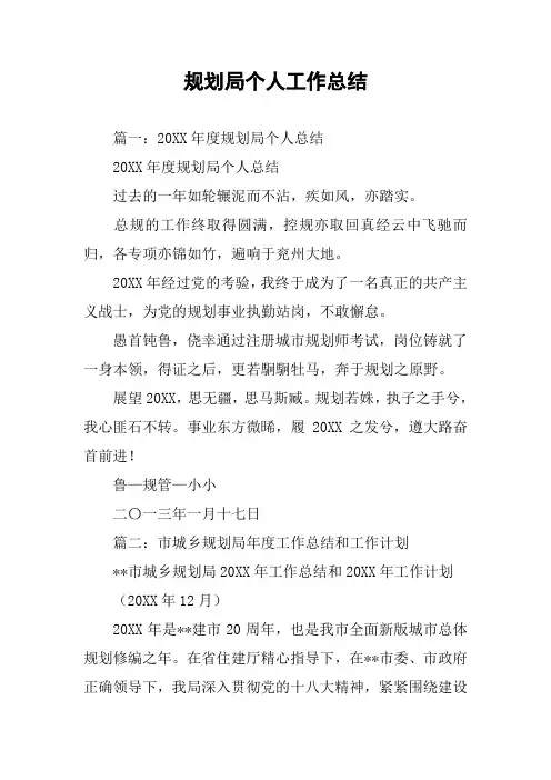 规划局个人工作总结