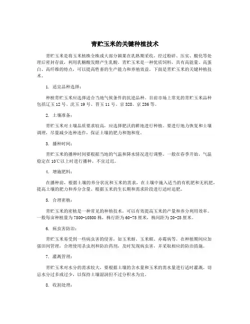 青贮玉米的关键种植技术