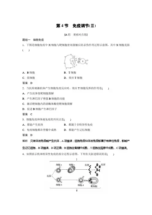 高二上学期生物人教版必修3-2-4 免疫调节(Ⅱ)(同步习题)